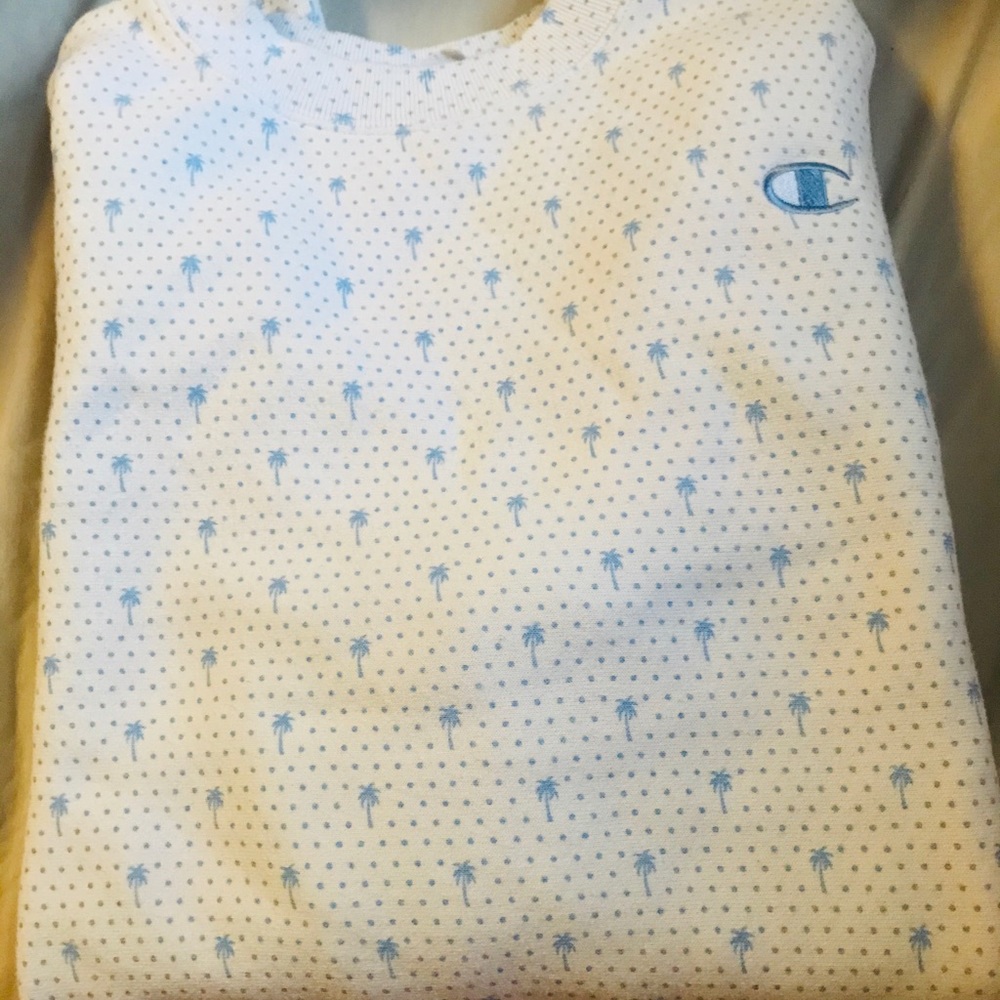 Champion x HVN sweater